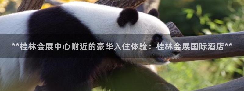 果博公司网站：**桂林会展中心附近的豪华入住体验：桂林会展国际酒店**