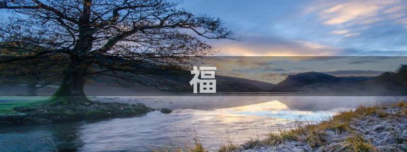 果博公司在线客服：福