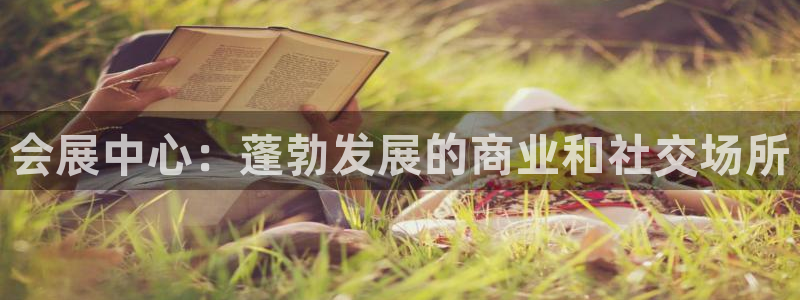 果博公司游戏网址：会展中心：蓬勃发展的商业和社交场所