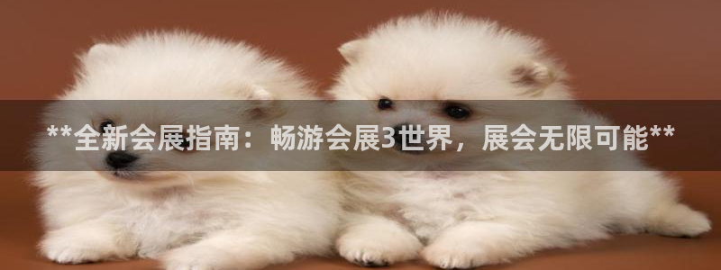 果博代理怎么注册：**全新会展指南：畅游会展3世界，展会无限可能**