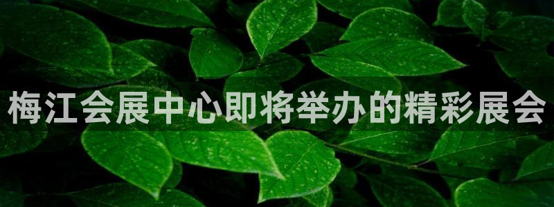 果博注册会员维wckk389：梅江会展中心即将举办的精彩展会