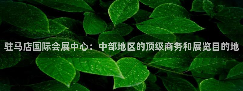 果博公司开户注册：驻马店国际会展中心：中部地区的顶级商务和展览目的地