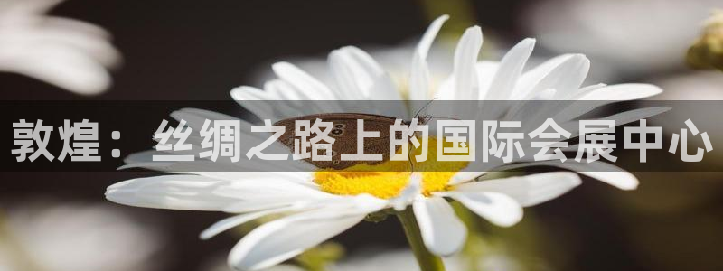 下载果博博东方下载：敦煌：丝绸之路上的国际会展中心
