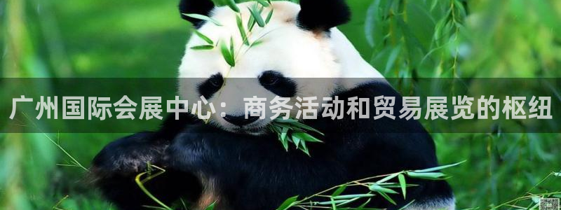 果博注册平台怎么注册：广州国际会展中心：商务活动和贸易展览的枢纽