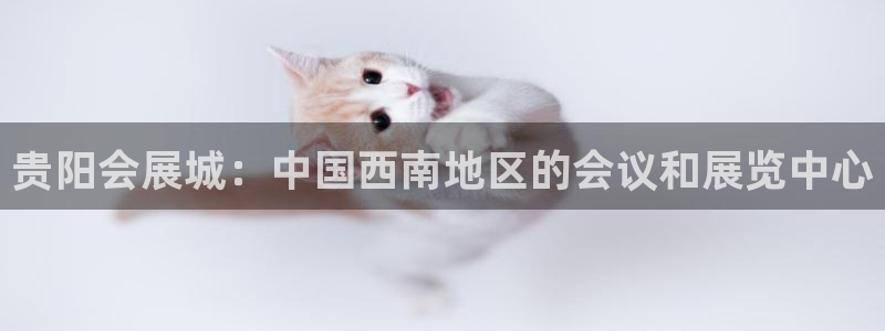 果博总台电话