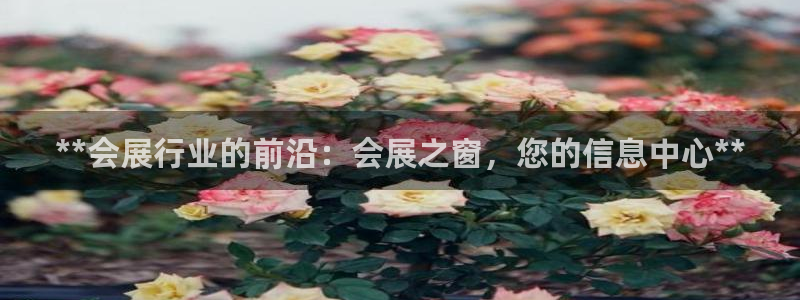 果博注册电话：**会展行业的前沿：会展之窗，您的信息中心**