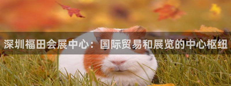 下载果博：深圳福田会展中心：国际贸易和展览的中心枢纽