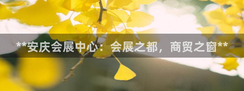 果博公司客服怎么样：**安庆会展中心：会展之都，商贸之窗**