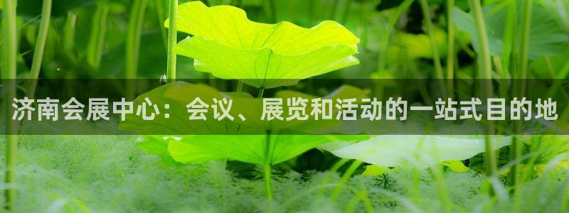 果博注册平台怎么注册：济南会展中心：会议、展览和活动的一站式目的地