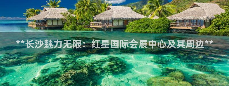 果博代理电话多少：**长沙魅力无限：红星国际会展中心及其周边**