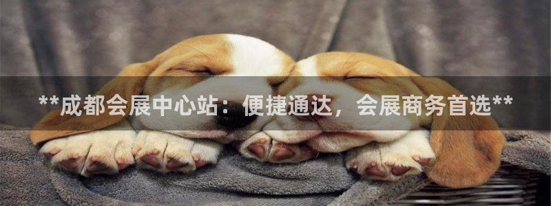 果博注册平台怎么注册：**成都会展中心站：便捷通达，会展商务首选**