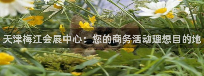果博平台真实吗安全吗：天津梅江会展中心：您的商务活动理想目的地
