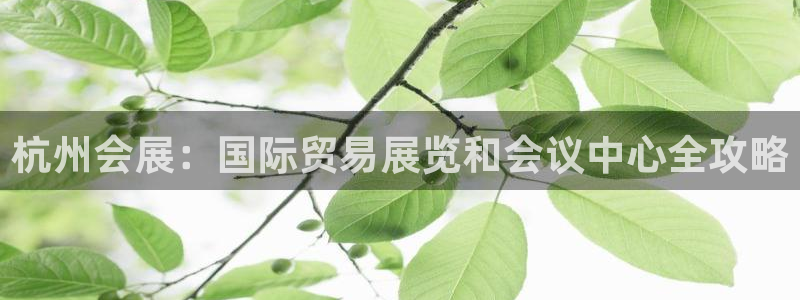 下载果博app：杭州会展：国际贸易展览和