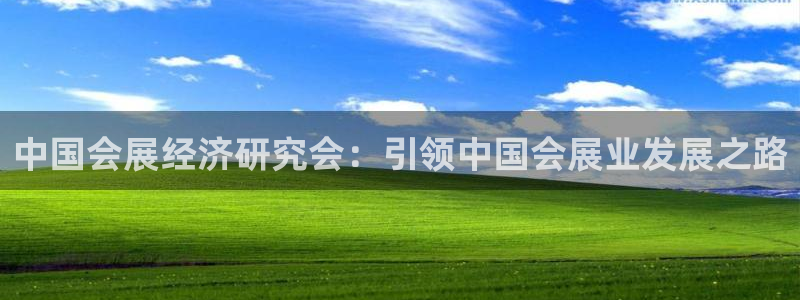 果博平台开户电话号码：中国会展经济研究会：引领中国会展业发展之路