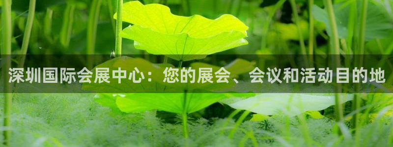 果博东官方网站怎么下载：深圳国际会展中心：您的展会、会议和活动目的地