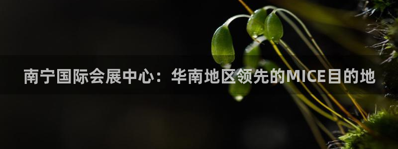 果博注册会员：南宁国际会展中心：华南地区