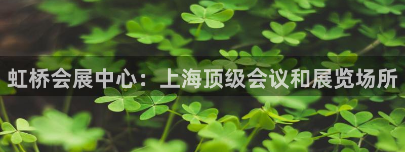 下载果博博东方：虹桥会展中心：上海顶级会议和展览场所