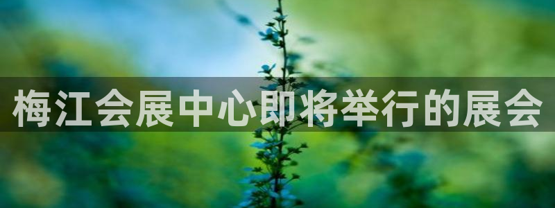 果博平台开户电话号码：梅江会展中心即将举行的展会