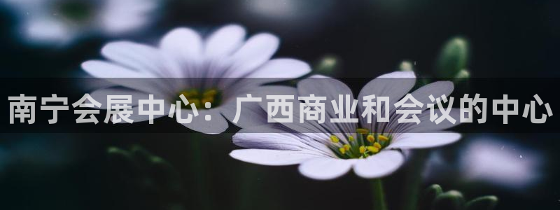 果博公司客服怎么样：南宁会展中心：广西商业和会议的中心