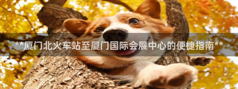 果博平台真实吗知乎怎么样：**厦门北火车站至厦门国际会展中心的便捷指南**
