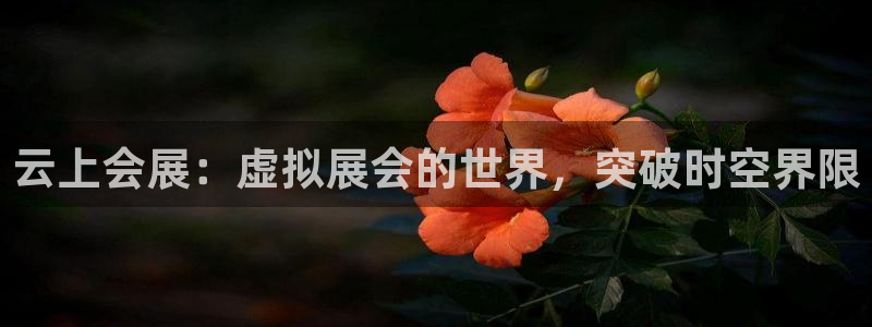 果博官方热线：云上会展：虚拟展会的世界，突破时空界限