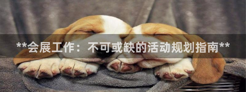 果博真人：**会展工作：不可或缺的活动规划指南**