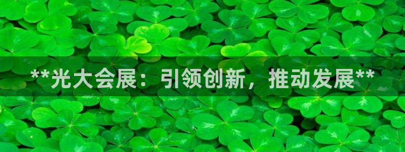 果博公司客服微信怎么加：**光大会展：引领创新，推动发展**