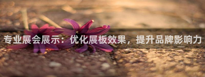 果博注册客服电话是多少啊：专业展会展示：优化展板效果，提升品牌影响力