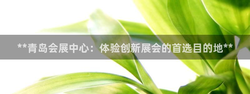 苹果电脑怎么下载博弈大师等软件：**青岛会展中心：体验创新展会的首选目的地**
