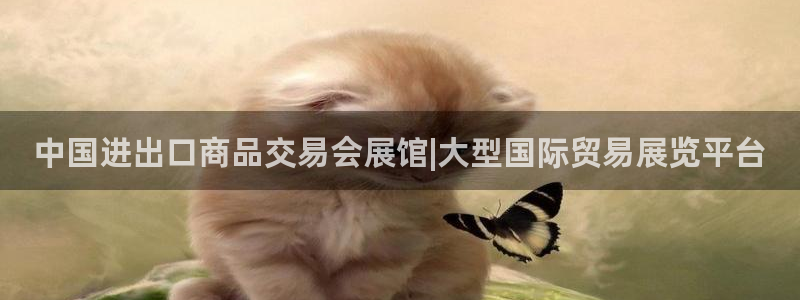 果博注册：中国进出口商品交易会展馆|大型国际贸易展览平台