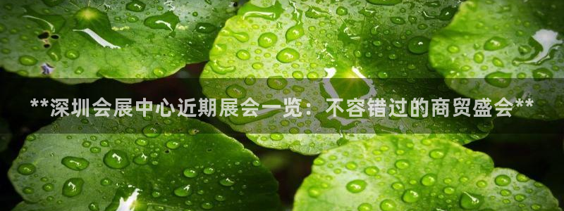 果博注册充值怎么充：**深圳会展中心近期展会一览：不容错过的商贸盛会**
