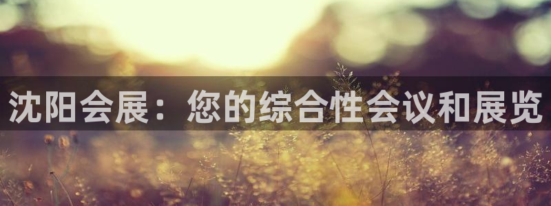 果博注册充值多少钱：沈阳会展：您的综合性会议和展览