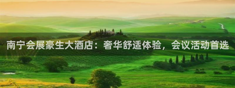 果博注册会员要钱吗：南宁会展豪生大酒店：奢华舒适体验，会议活动首选
