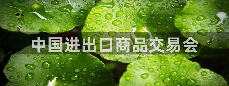 果博公司会员注册账号：中国进出口商品交易