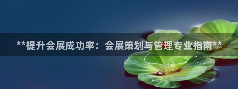 果博注册平台怎么注册不了：**提升会展成功率：会展策划与管理专业指南**