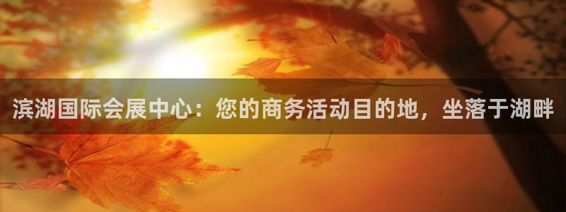 果博平台真实吗安全吗可信吗可靠吗：滨湖国际会展中心：您的商务活动目的地，坐落于湖畔