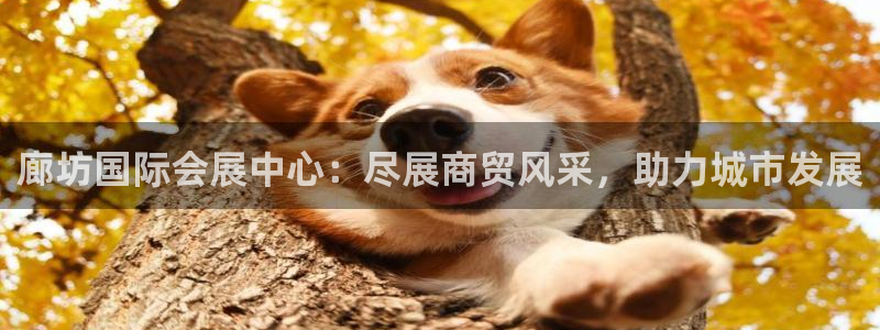 下载果博博东方下载：廊坊国际会展中心：尽展商贸风采，助力城市发展