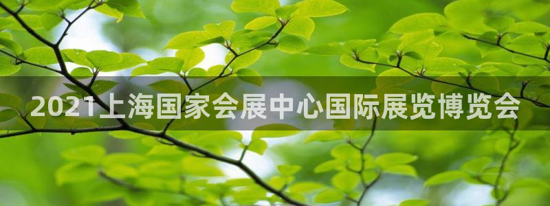 果博东官方网站怎么下载：2021上海国家会展中心国际展览博览会