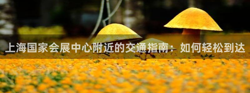 果博环保公司：上海国家会展中心附近的交通指南：如何轻松到达