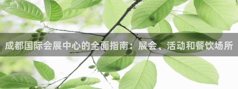 果博代理电话多少：成都国际会展中心的全面指南：展会、活动和餐饮场所