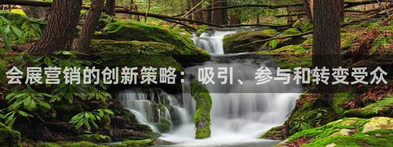 果博怎么注册账号和密码：会展营销的创新策略：吸引、参与和转变受众