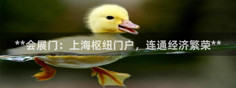果博客服电话多少：**会展门：上海枢纽门户，连通经济繁荣**