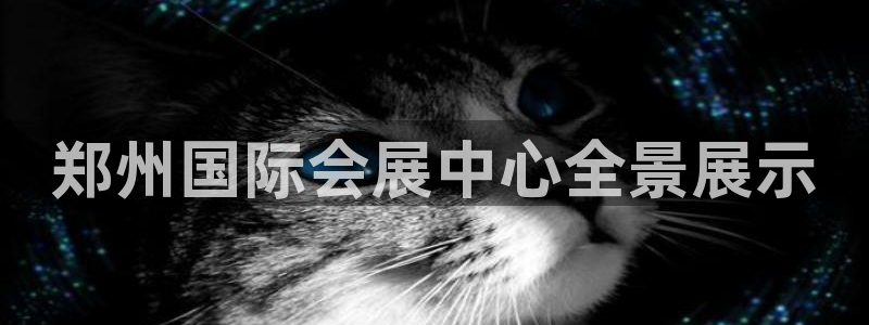 果博怎么注册账号：郑州国际会展中心全景展示