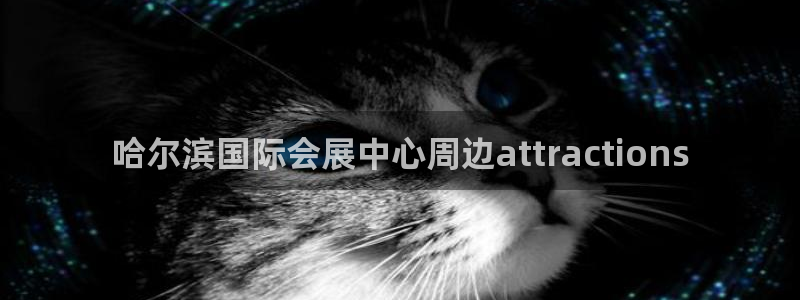 果博平台真实吗安全吗可信吗：哈尔滨国际会展中心周边attractions