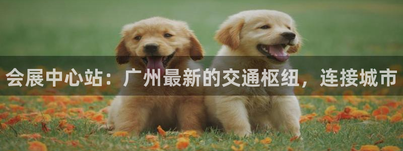 果博平台赖不赖
