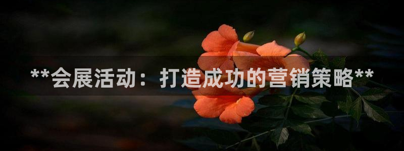 果博平台链接：**会展活动：打造成功的营销策略**