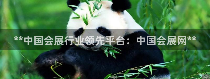 果博平台电话：**中国会展行业领先平台：中国会展网**
