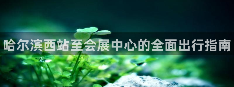 果博手机下载网址：哈尔滨西站至会展中心的全面出行指南