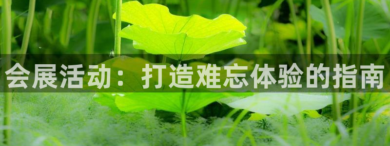 果博官网在银博：会展活动：打造难忘体验的指南