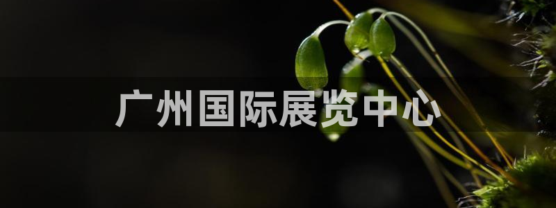 果博app官网下载：广州国际展览中心